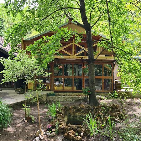 Ribarev San Villa Ovcar Banja Bagian luar foto