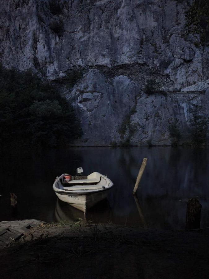 Ribarev San Villa Ovcar Banja Bagian luar foto