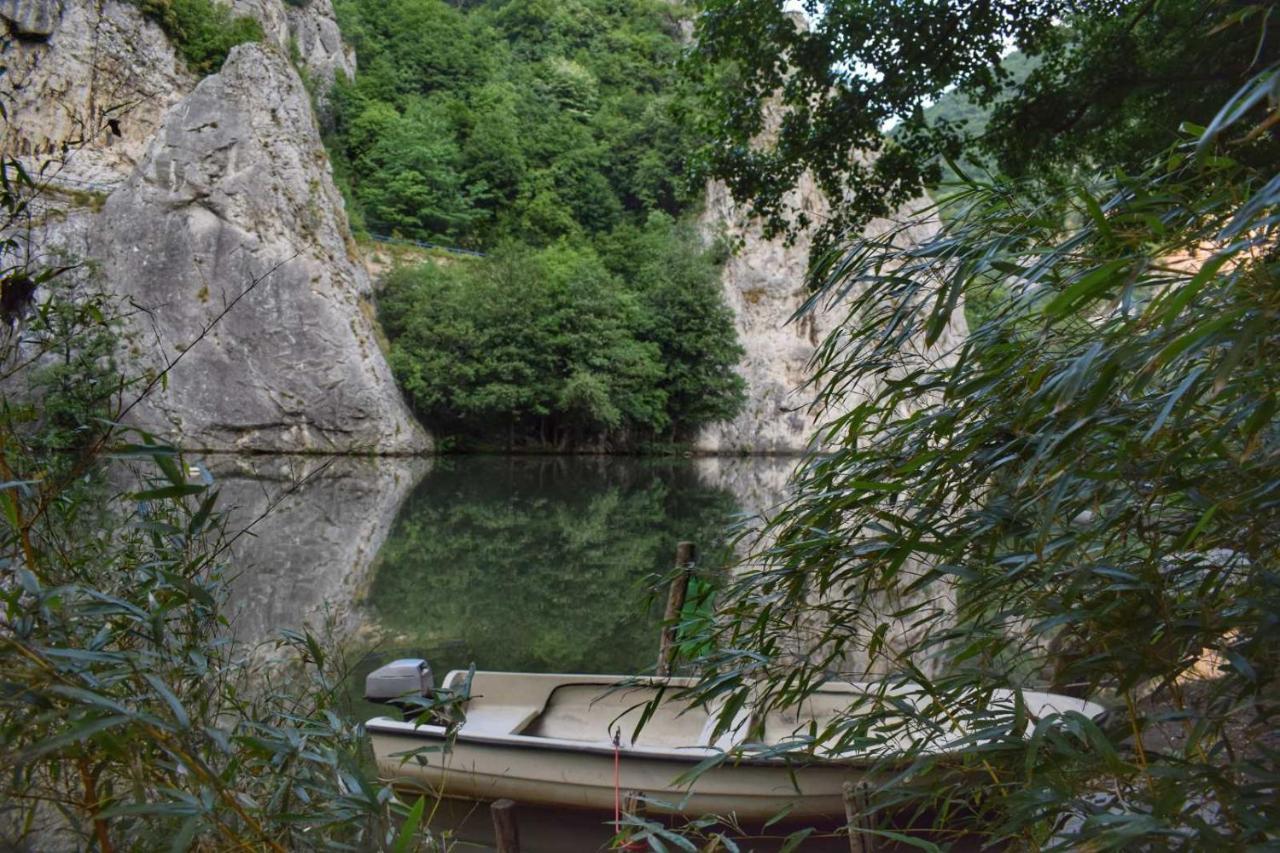 Ribarev San Villa Ovcar Banja Bagian luar foto